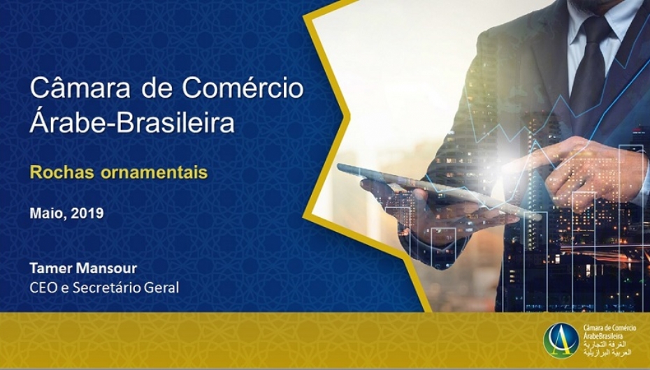 Imagem de APRESENTAÇÃO DA CÂMARA DE COMÉRCIO ÁRABE-BRASILEIRA DO SECRETÁRIO GERAL SR. TAMER MANSOUR 