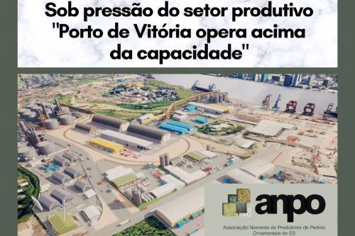Imagem de Sob pressão do setor produtivo ”Porto de Vitória opera acima da capacidade”